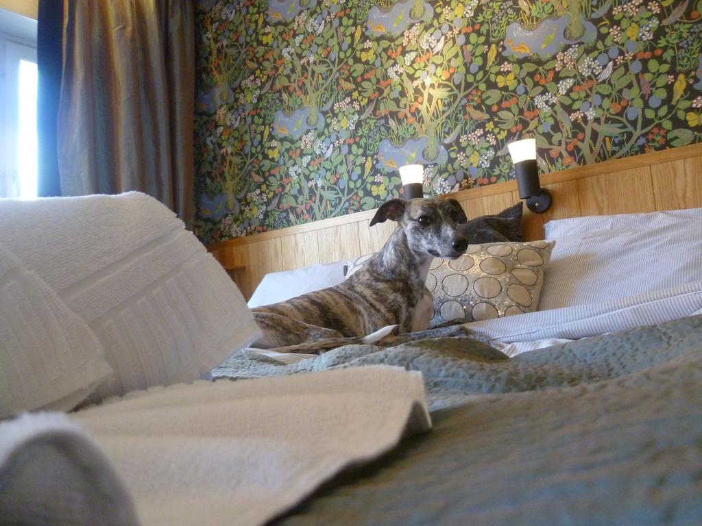 Sankt Olof Hotell & Krog Malung Zewnętrze zdjęcie