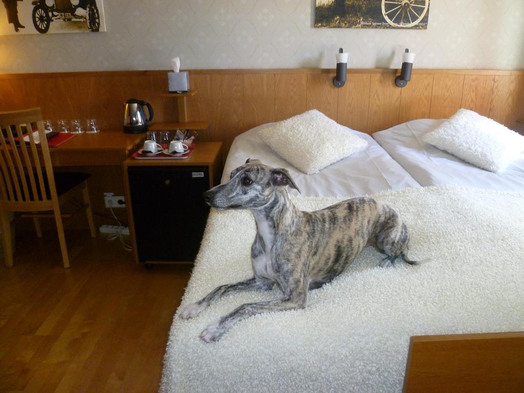 Sankt Olof Hotell & Krog Malung Zewnętrze zdjęcie
