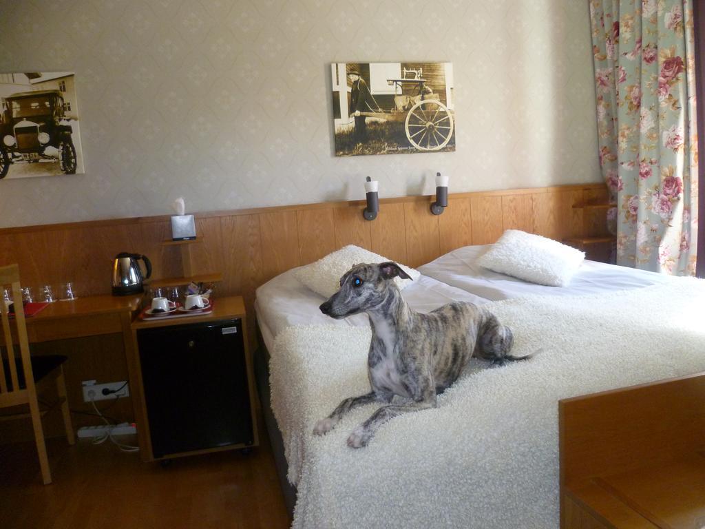 Sankt Olof Hotell & Krog Malung Zewnętrze zdjęcie